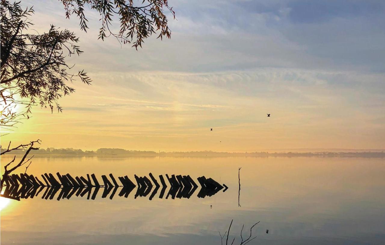 Lovely Home In Lembruch-Duemmer See With Sauna Esterno foto